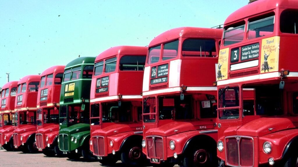 Buses
